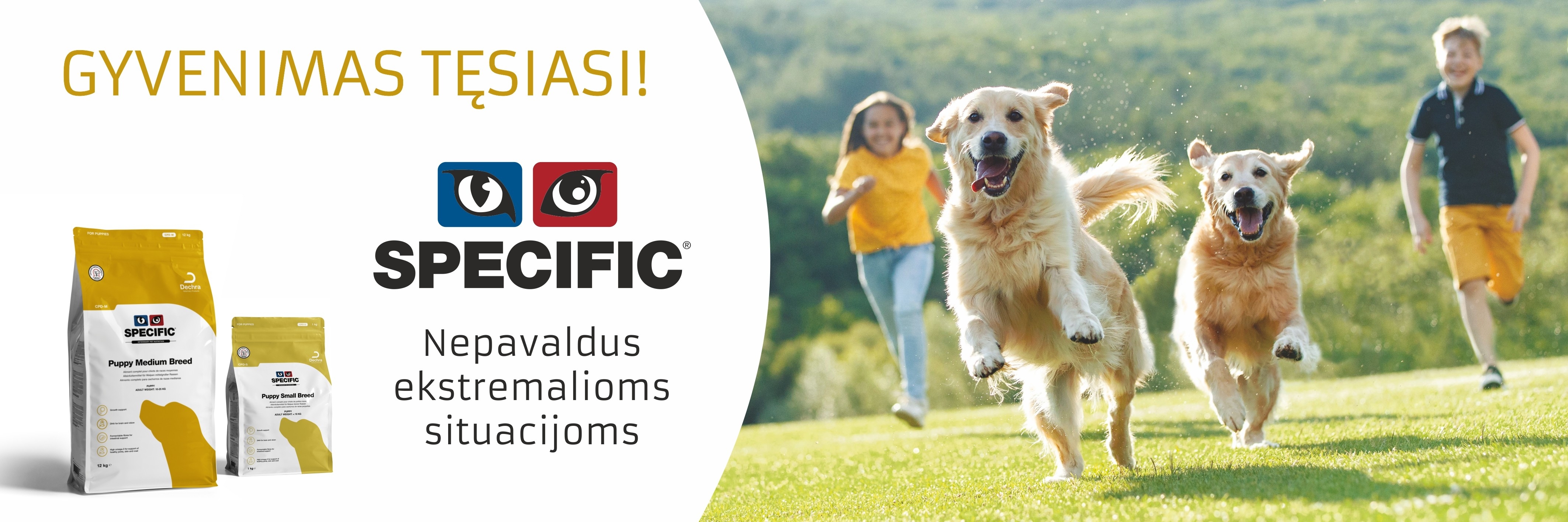 "Specific" lauko reklama - Dimela 15000x5000 Preview